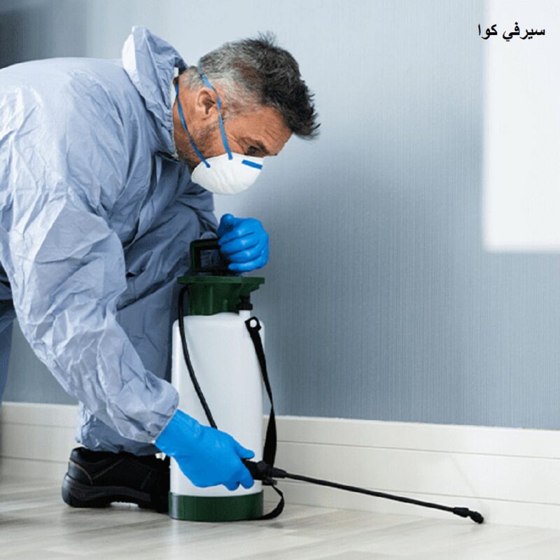 مكافحة حشرات بمكة
