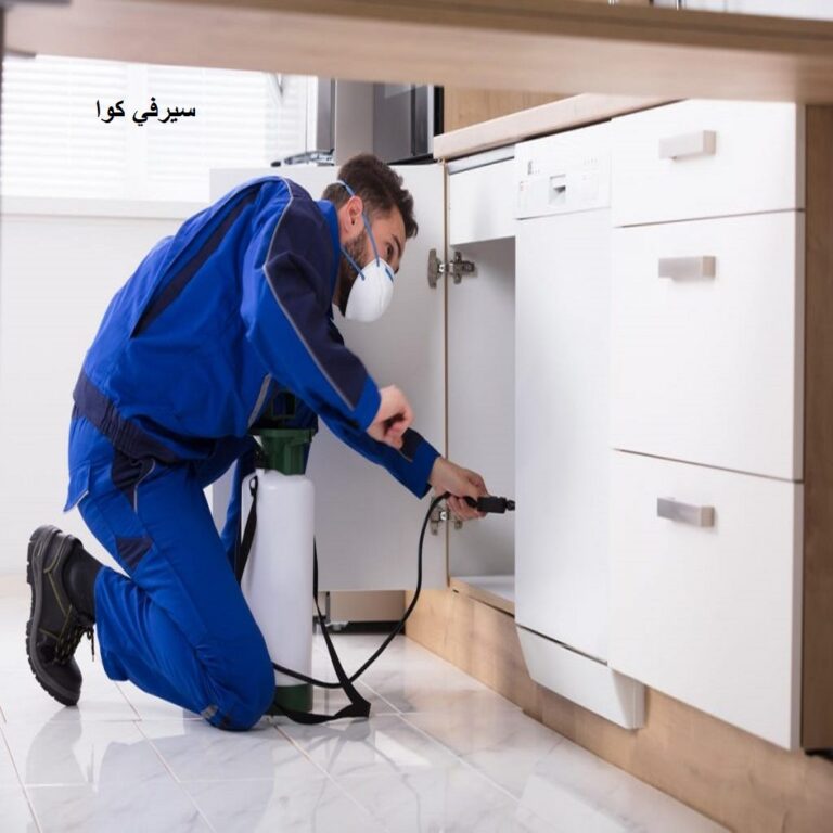 رش الحشرات الطائرة